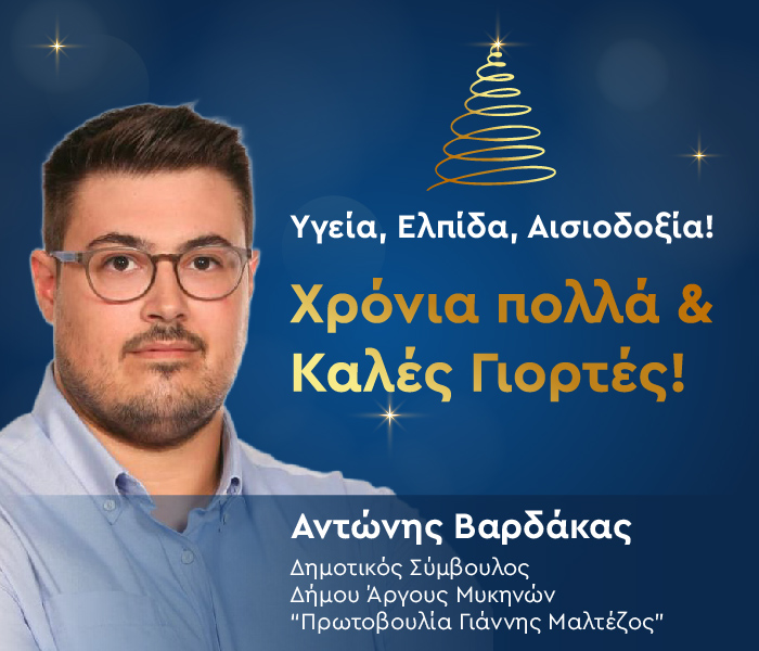 christmasbanner-2024-VARDAKS